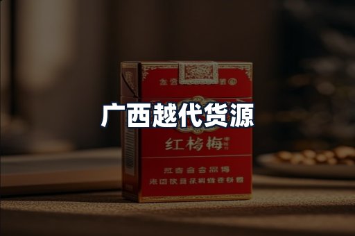 广西越代货源